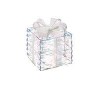 Pacco di Natale L'Oca Nera Brillano i sogni con 100 led piccolo 1XM1092.10