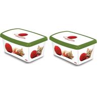 Pacco Doppio Curver Petlife Cat Giocando con Un Palla Di Lana 5 Litro Cibo Box