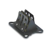 MALOSSI 274235C0 PACCO LAMELLARE LAMELLE CARBONIO MALAGUTI XSM - XTM 50 (AM 6)