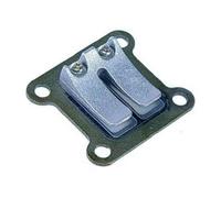 Pacco Lamellare per Minimoto Minicross MiniQuad 49cc 2 Tempi