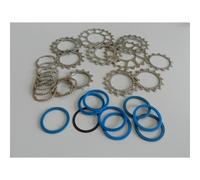 PACCO PIGNONI PER CAMPAGNOLO 10 VELOCITA' 12-23 MARCHISIO