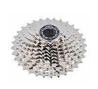 Pacco Pignoni Shimano CS-HG500-10s