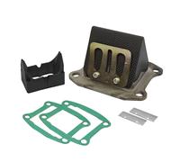 Pacco Valvola Lamellare Motore Polini 100 PRE Piaggio ZIP 50 2T SP H2O - MF9719