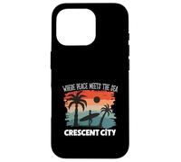 Pace sul mare - Crescent City Custodia per iPhone 16 Pro