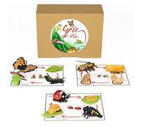 Pacha ECHECS® - Gioco di Ciclo di Vita degli Insetti - Materiale educativo Montessori per Imparare L'Evoluzione | Strumento pedagogico | Simulazione della Crescita | Anatomie | Biologie