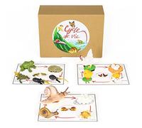 PACHA ECHECS® - Gioco di ciclo di vita di animali - Materiale educativo Montessori per imparare l'evoluzione | Strumento pedagogico | Simulazione di crescita | Anatomia | Biologia
