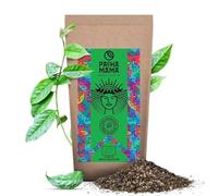 Pachamama Guayusa Tè Pure 500g - Ilex Guayusa Biologico dall'Ecuador, Sorella del Tè Yerba Mate, Alternativa al Caffè, Senza Additivi