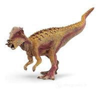 PACHYCEPHALOSAURUS 15024