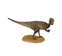 Pachycephalosaurus Figura Collecta