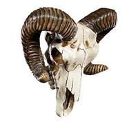 Pacific Giftware Trofeo decorativo da parete con teschio e corna di ariete, 27,9 cm