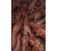 Pacific Northwest Seafood Notebook Fresh Prawn Catch - Coastal Fishing Journal: 6x9 Lined Notebook for Fishing Logs, Notes, Journaling, and Coastal Life Enthusiasts