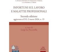 INFORTUNI SUL LAVORO E MALATTIE PROFESSIONALI - AA.VV., LA PECCERELLA L.