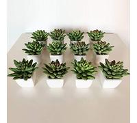 Pack 12 cactus Assortimenti artificiali Marianae con pentola in ceramica