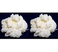 Pack 2X 40g di Granuli Di Kéfir Di Latte + Istruzioni + Ricette + Aiuto e consigli in italiano - KEFIRALIA®