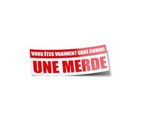 PACK AUTOCOLLANTI STICKERS Vinile Sei davvero parcheggiato come una resistente UV e acqua Divertente Vendetta parcheggio Auto mal parcheggiata Per Computer Bottiglia e Auto Deco esterno 10 cm