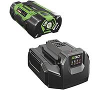 Pack Completo Caricabatterie E Batteria 56 Volt Ego Power per Attrezzi Giardini Senza Fili Ego