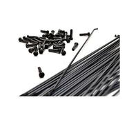 Pack da 40 raggi bsd straight gauge nero