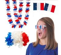 Pack Supporter France - Parrucca Afro, 2 bandiere Francia 30 x 45 cm, 2 collane hawaiane Francia, occhiali griglia bianca - Kit Supporter France Allez les Bleus 6 accessori Calcio / Rugby / Calcio,