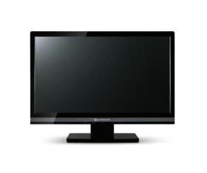 Packard Bell Viseo 190W LCD Monitor 18.5"