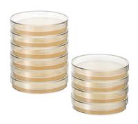 PACKOVE 10 Pezzi Piastre Petri con Agar Nutriente Pre-riempite da 7cm per Esperimenti Scientifici e Coltura Tissutale, Materiali Agar per Studenti e Laboratori Stem