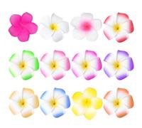 PACKOVE 24 Fermagli per Capelli con Fiori per Donne, Forcine per Capelli con Fiori Luau, Forcine per con di Plumeria Hawaiana per Spose, Matrimoni, Feste Estive, Vacanze in Spiaggia