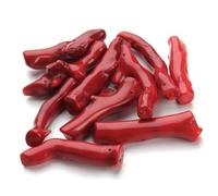 PACKOVE 5 Pezzi Accessori Gioielli Bracciale Ciondolo Forma Ramo Corallo Rosso per Party Costume Donna Ragazze