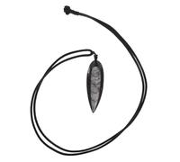 PACKOVE Ciondolo Fossile di Ammonite in Pietra Nero, Grande Dimensione Design Realistico, Versatile per Decorazione Casa ed Educazione Paleontologica