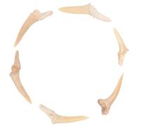 PACKOVE Collana Ciondoli a Forma di Dente di Squalo Fossile 6 Pezzi per Uomo e Ragazzo, Leggera e Regolabile, Decorazione del Collo per Uso Quotidiano e Vacanze