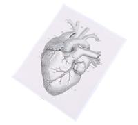 PACKOVE Tabella Anatomica Cuore Umano in Tela, Decorazione Murale | Struttura del Cuore, Supporto per Studio e Consulto, Pronta da Appendere, per Parete e Soggiorno