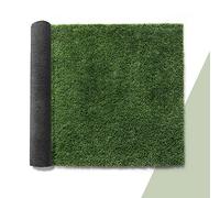 Paco Home Erba Sintetica per Giardino Balcone Terrazza Tappeto Erboso Interno Esterno Tappeto Lavabile Naturale Morbido, Model:25mm, Dimensione:100x300cm