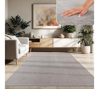 Paco Home Tappeto Moderno e Morbido per Soggiorno a Pelo Corto Lavabile Fluffy Uni Effetto Pelliccia Senza Tempo Elegante Antiscivolo Facile da Pulire, Dimensione:300x400 cm, Colore:Grigio