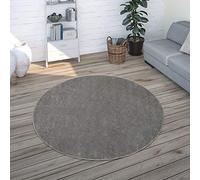 Paco Home Tappeto Pelo Corto, Lavabile, Monocolore, Semplice e Moderno, per Soggiorno, Camera da Letto e Ingresso, Dimensione:Ø 200 cm tondo, Colore:Antracite