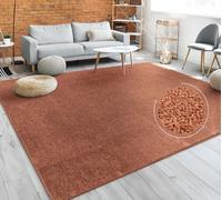 Paco Home Tappeto Pelo Corto, Lavabile, Monocolore, Semplice e Moderno, per Soggiorno, Camera da Letto e Ingresso, Dimensione:160x220 cm, Colore:Rame