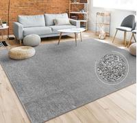 Paco Home Tappeto Pelo Corto, Lavabile, Monocolore, Semplice e Moderno, per Soggiorno, Camera da Letto e Ingresso, Dimensione:60x100 cm, Colore:Antracite