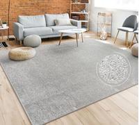 Paco Home Tappeto Pelo Corto, Lavabile, Monocolore, Semplice e Moderno, per Soggiorno, Camera da Letto e Ingresso, Dimensione:240x340 cm, Colore:Argento