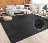 Paco Home Tappeto Pelo Corto, Lavabile, Monocolore, Semplice e Moderno, per Soggiorno, Camera da Letto e Ingresso, Dimensione:200x280 cm, Colore:Nero