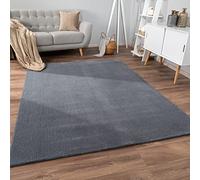 Paco Home Tappeto Salotto Moderno Soggiorno Pelo Corto Boho Motivo Scandinavo Monocolore, Dimensione:200x280 cm, Colore:Antracite