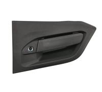 PACOL IVE-DH-027L Maniglia esterna sportello per IVECO