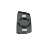 PACOL IVE-MR-003 Vetro specchio, Specchio esterno per IVECO