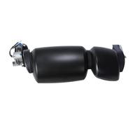 PACOL IVE-MR-013 Specchio retrovisore esterno per IVECO