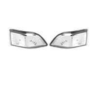 PaCsci Indicatori Nello Retrovisore Per Kia Per Sedona Per Carnival 2010-2014 876244D000 876144D000 Luce Specchietto Laterale Luce Indicatore Direzione Indicatori Direzione Ambra(2pcs Left and Right)