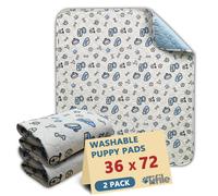 Pad di pip lavabili per cani 2 padini di cuccioli riutilizzabili Assorbenti cuscinetti con stampato osseo cuscinetti per animali domestici non slitt