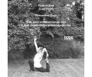 Pada Krama - Standing Yoga Postures DVD Sequence for Beginner to Advanced - Matt Gluck of Pranasana Yoga - Standing Form [DVD]