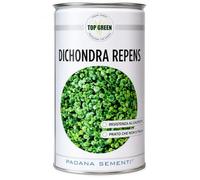 Padana Sementi, Dichondra Repens Semi per Prato Ornamentale, 1kg | Foglie decorative, Resistente al caldo, non necessita di taglio
