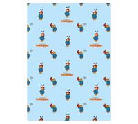 Paddington BearPile Coperta (TC696)
