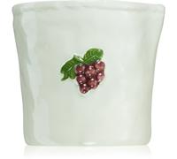 Paddywax Bistro Bordeaux Grape candela profumata 226 g