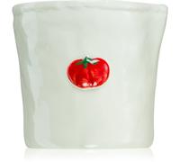 Paddywax Bistro Heirloom Tomato candela profumata 226 g