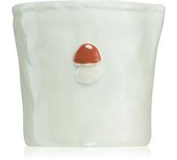 Paddywax Bistro Wild Mushroom candela profumata 226 g