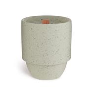 Paddywax Candles - PK1107z National Parks Collection Scented Candle, 11-Ounce, Olympics - Pacific Moss + Mist, 11 Ounces