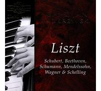 Various Composers Grand Piano (Paderewski) (CD) Album